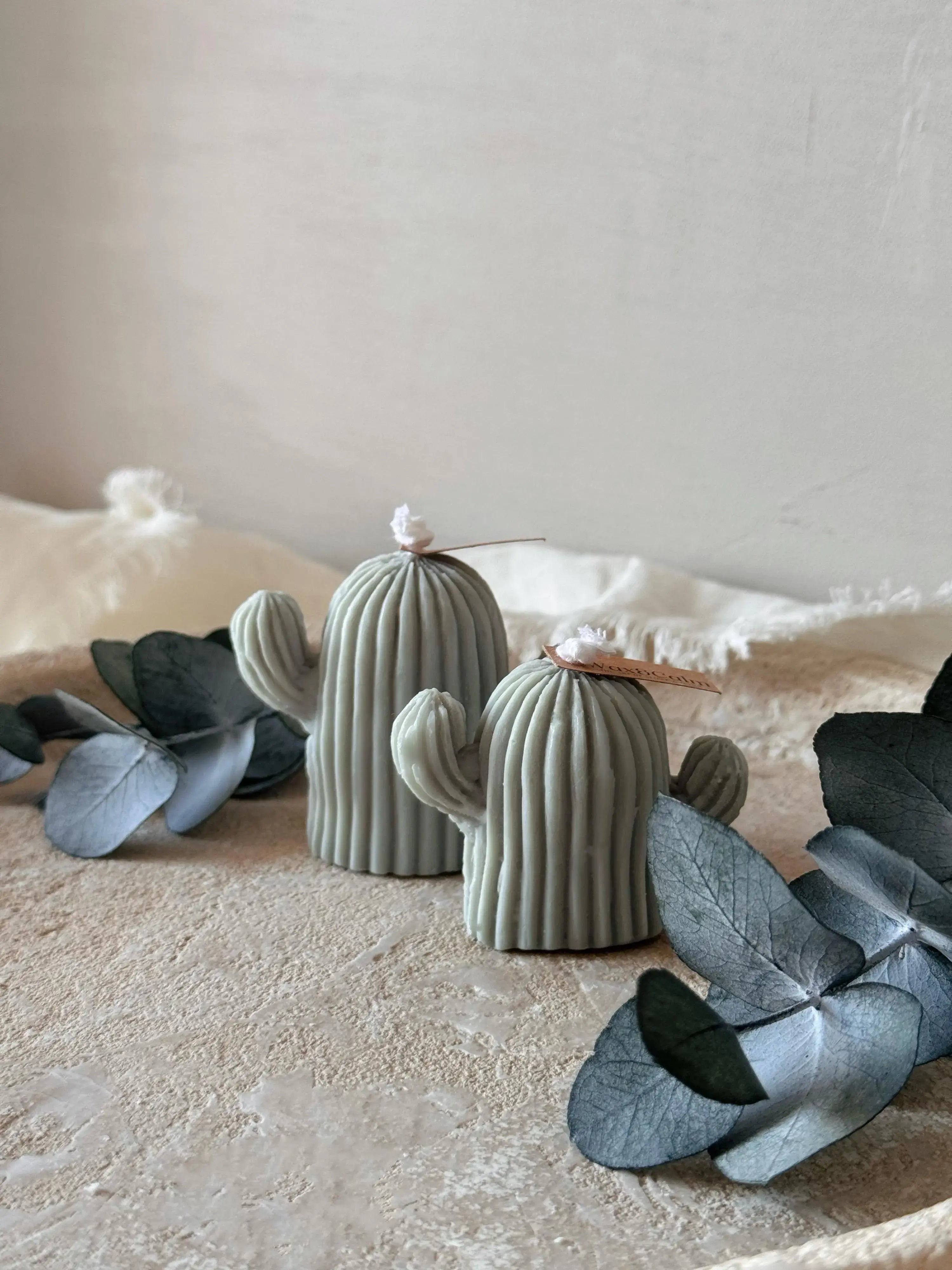 Pack Cactus velas artesanales decorativas para el hogar - Wax&Calm